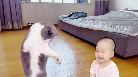 Funny dog 🐶