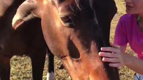 Cute Pony asking for an Apple 🍎