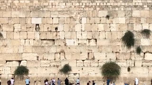 Wailing wall in israel