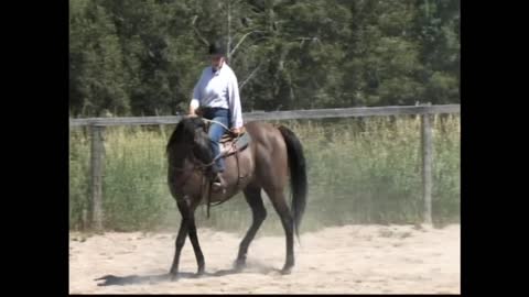 Pat Wyse Clinic_Cavalier & MaeCile_2022July14