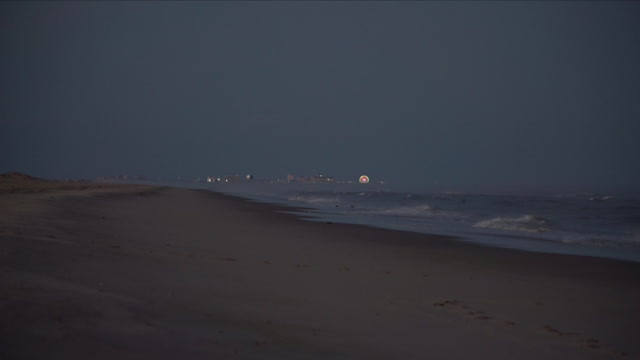 Sunset Walk on Assateague Island With Goose