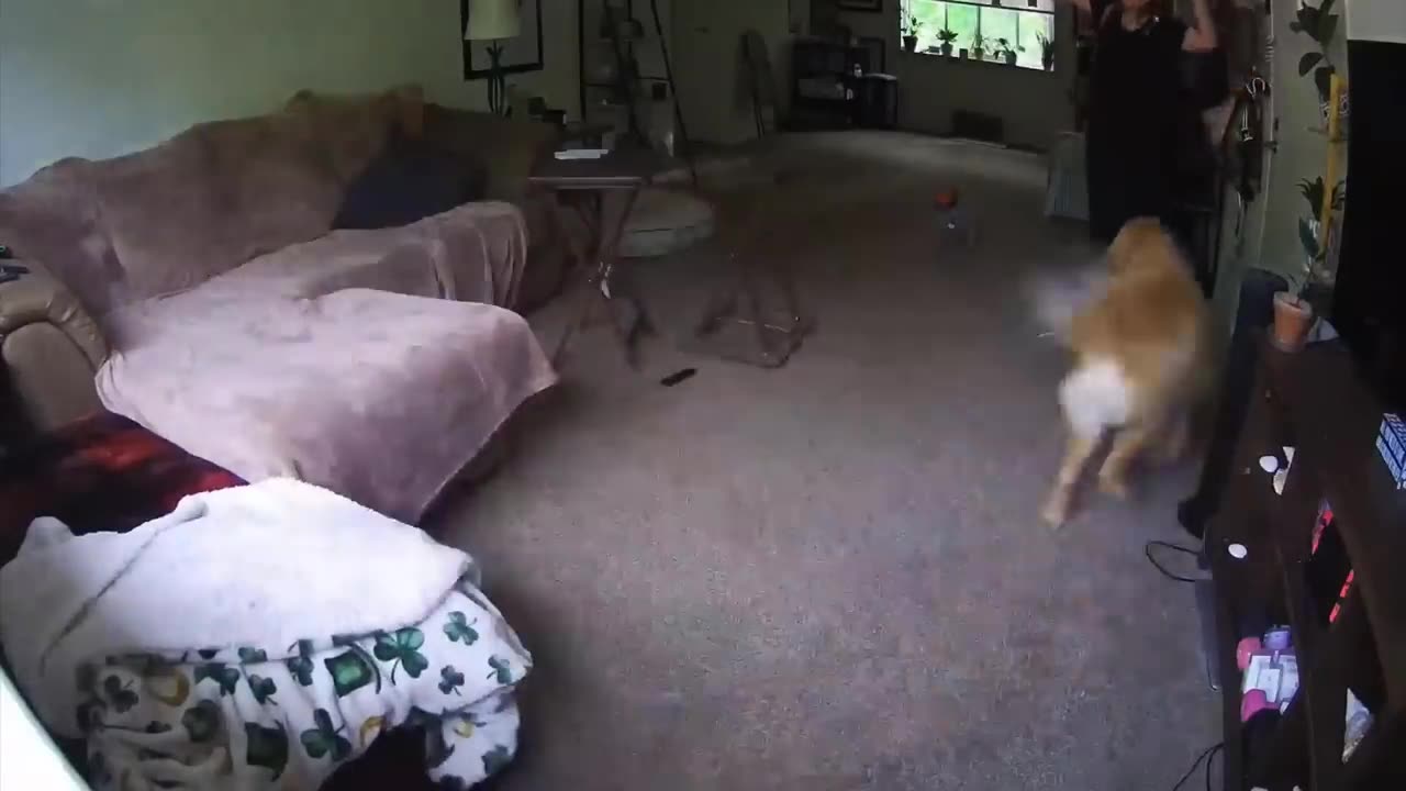 TRY NOT TO LAUGH Best Funny Videos Compilation Memes PART