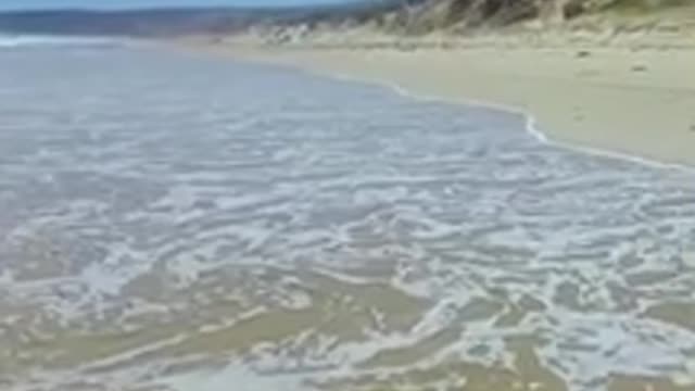 Don’t skip Quran 20 sec