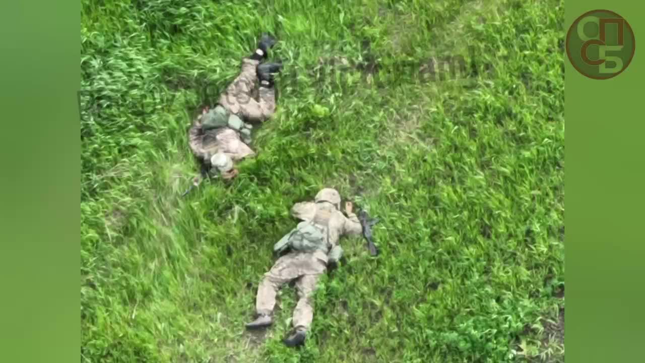 RF artillery destroy the Ukrops