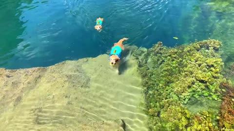 Catch the tail of summer to play with the water!