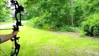 2018 PSE Carbon Air Stealth | User Review