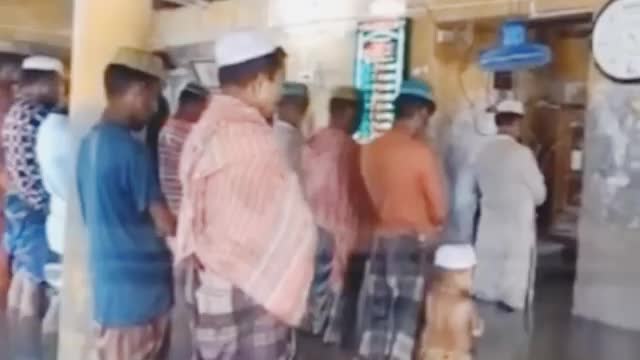 Allah কেয়ামতের দিন আমল সমূহের মধ্যে সর্ব প্রথম নামাজের হিসাব নেওয়া হবে!🤲🏻🌺🕋