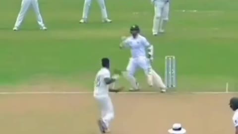 Cricket funny video