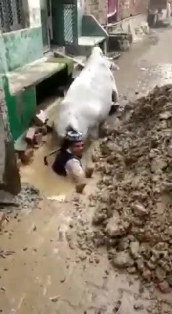 Never judge someone by the opinion of others