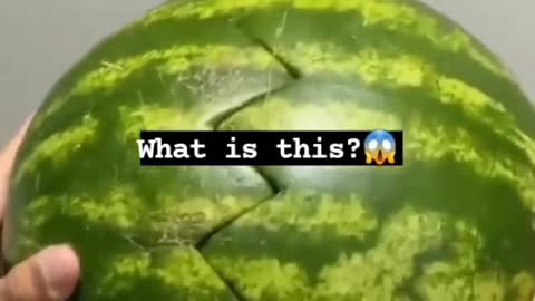 Cut the Watermelon 🍉 and Watch this funny moments