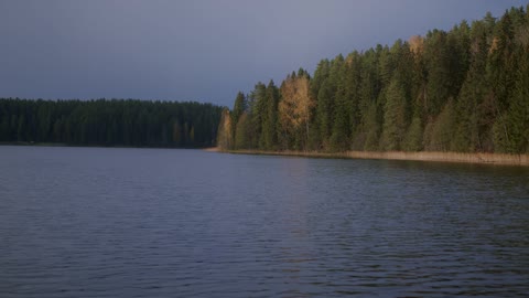 Video of a Lake and Trees