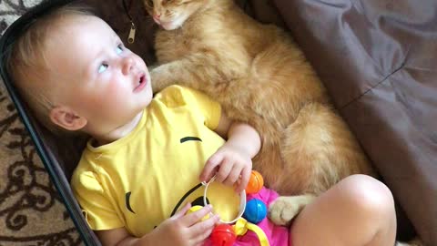 Kitty and Baby Climb Into Suitcase Together