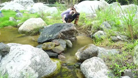 Huge wild fish nest - Beautiful girl survival and catches fish, bushcraft shelter skills