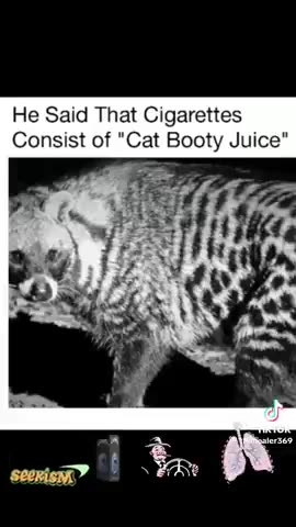HELL NO KITTY - THIS DUDE SAYS CIGARETTES CONTAIN "CAT BOOTY JUICE"