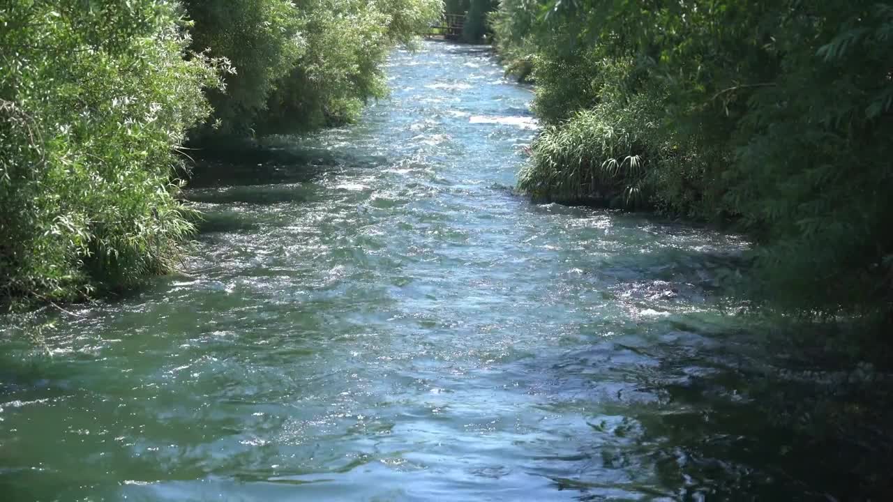 Amazing beauty of a nature and relaxation 2021