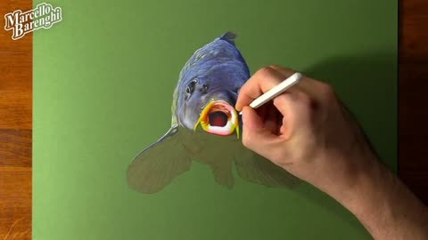 Supplement The Color Details Of The Mouth
