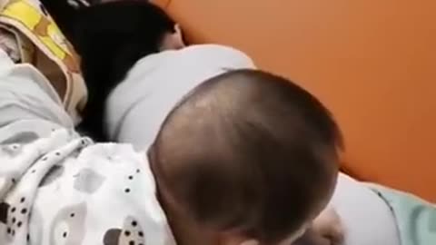 #funny #video