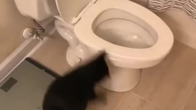 be careful when going to the bathroom, there may be someone there !!!