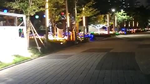 Night view of a beautiful street in Korea