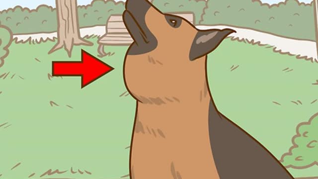 How to treat salivary mucocele of your dog❓❓❓❓❓❓❓