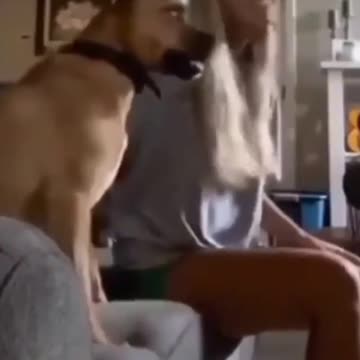 Dog loves soccer. #Shorts 2021 😂🤣😂🤣