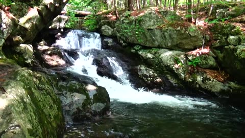 Roaring Falls