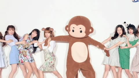 Oh My Girl Fight For The Monkey In The New Concept Photo!