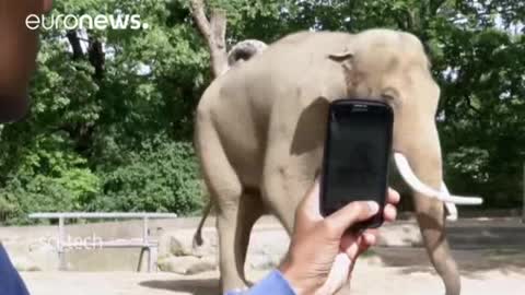 Berlin Zoo opts for beacon technology app