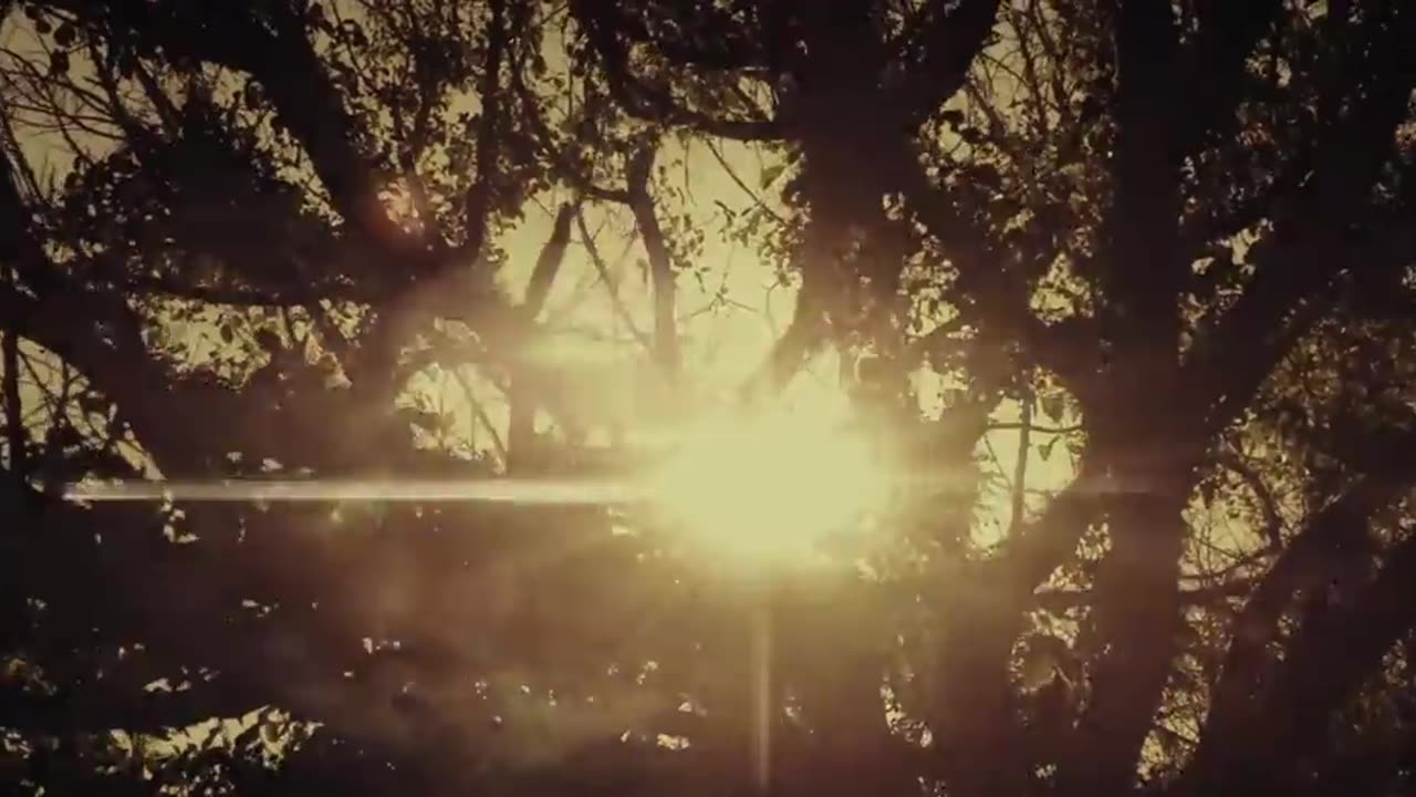 Nico & Vinz - Am I Wrong [Official Music Video]