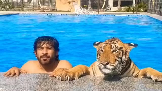 Dubai 🇦🇪 King 👑 Sheikh Nawab With White Tiger 🐅 White Lion 🦁 #Dubai