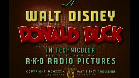 Donald duck