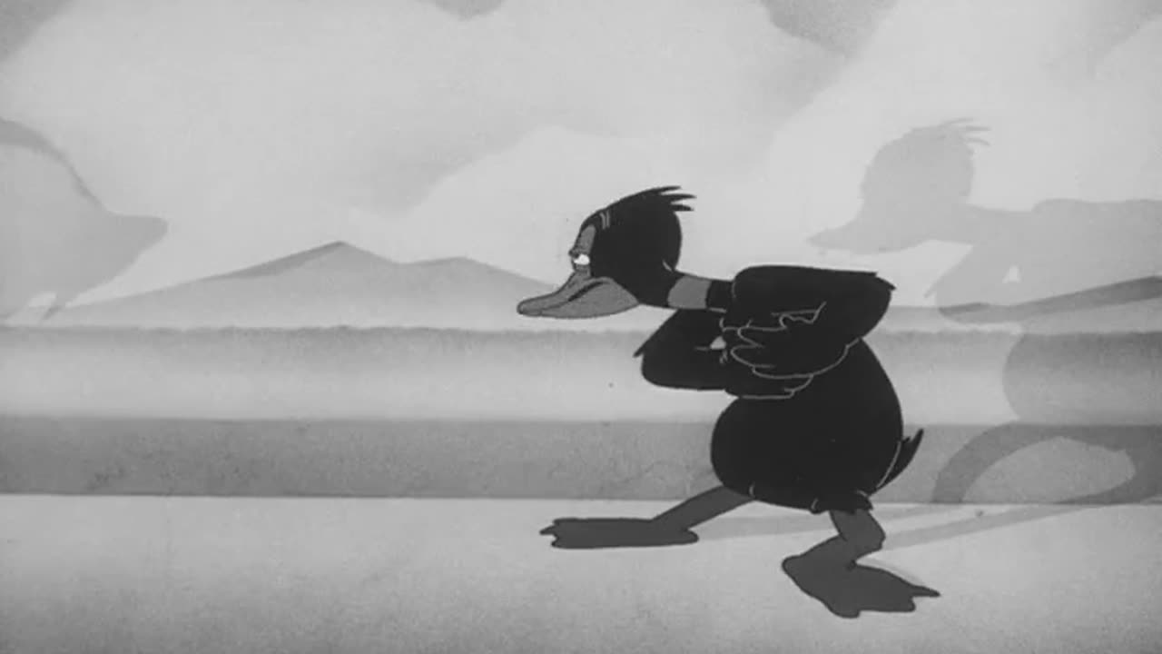 Looney Tunes - A Coy Decoy