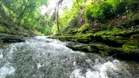 Wild Creek - Ozarks