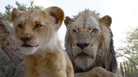 The lion king clips