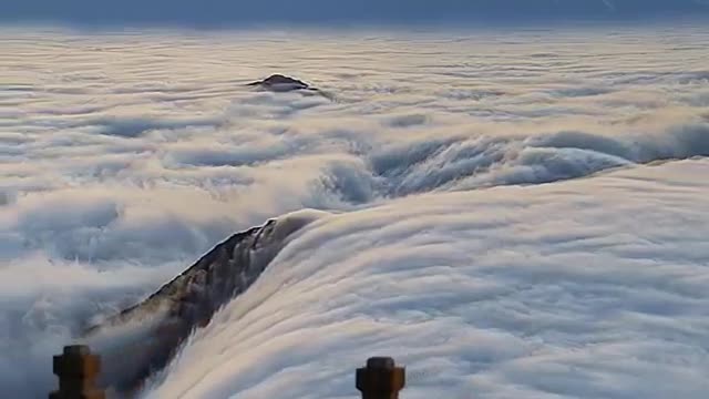 see the nature