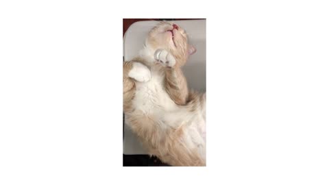 sweet slumber hahaha!!!!