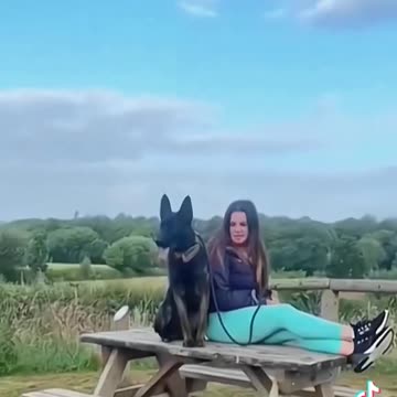 How Was Your Walk Today?