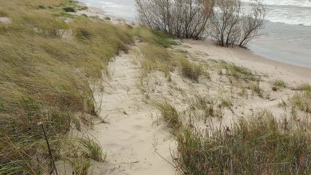 High waves on Lake Michigan