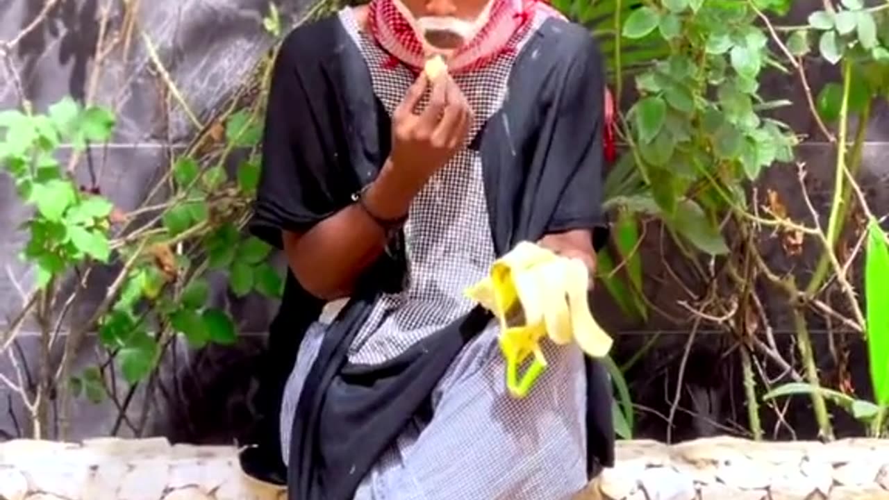 new funny video 2023-24