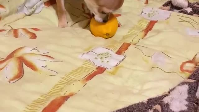 I want to eat, but I don’t know how