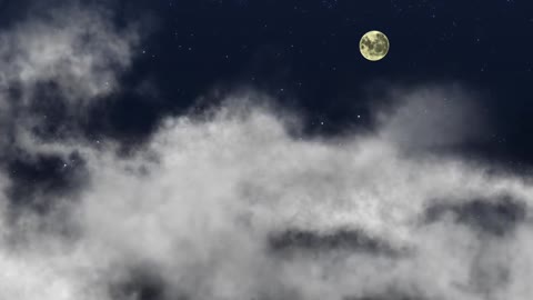 Relaxing Music | Sleeping, Meditation, Stress Relief | [440] ⭐️