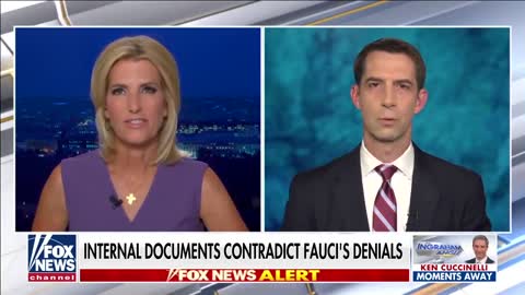 Tom Cotton demands Anthony Fauci be prosecuted for his lies