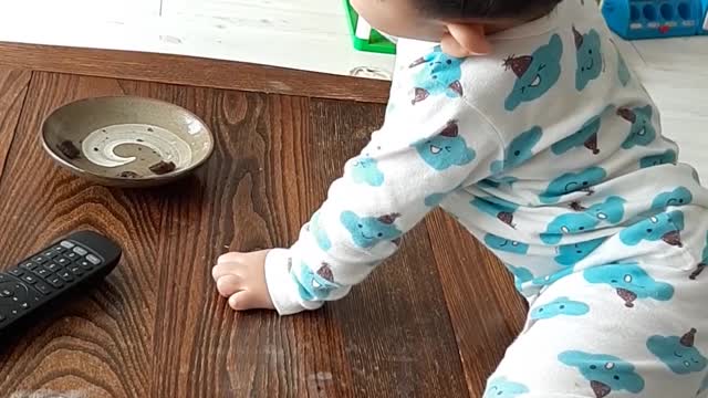 Cute baby eating snacks.