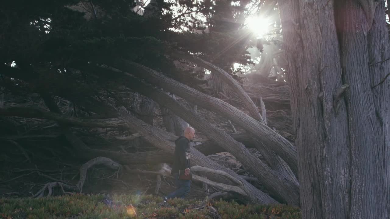 Book of James Lesson 9+10