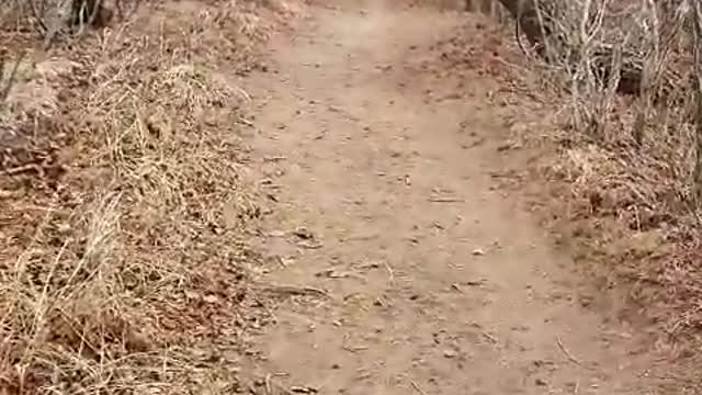 a hiking trail in Korea