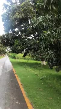 Beautiful view natural view