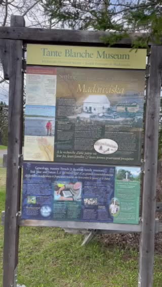 Taunte Blanche. Aunt Blanche