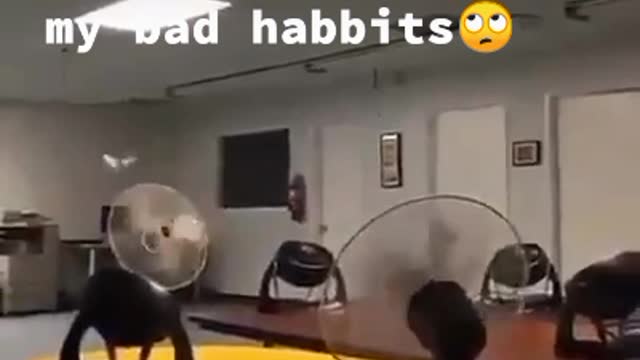 Tiktok Funny physics