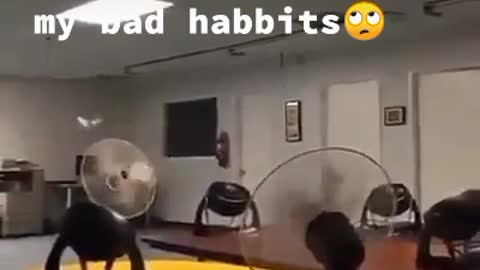 Tiktok Funny physics