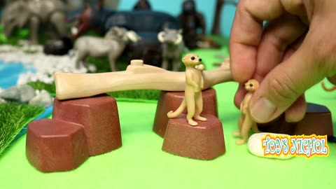 Two Monkeys Playing with Two Pandas and Hanging from Pine Tree